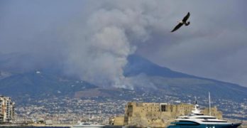 Inferno Vesuvio, gatti usati come torce per appiccare gli incendi