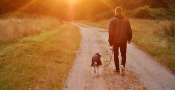 Coronavirus, il Viminale chiarisce: i decreti emanati non impongono un divieto assoluto di passeggiata